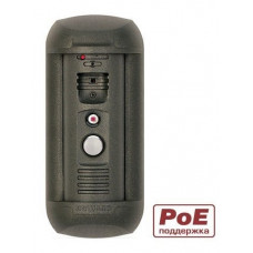 DS06AP (Gray). Вызывная панель IP-домофона. Beward