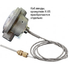 Спектрон-101-Р-Exd-Н-ВЭ. Извещатель пожарный тепловой взрывозащищенный. Спектрон НПО