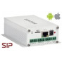 IP конвертеры