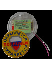 Оповещатель охранно-пожарный световой<br /> БИГ-09
