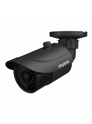 Видеокамера сетевая (IP)<br /> SVI-S352V PRO