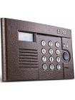 Вызывная видеопанель<br /> DP300-RDC16 (медь)