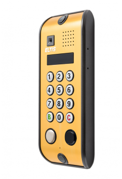 Вызывная видеопанель<br /> DP5000.B2-KRDC44 (алюм.золот)
