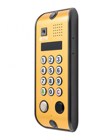 Вызывная видеопанель<br /> DP5000.B2-KRDC44 (алюм.золот)