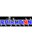 Блок управления<br /> Raikmann CD-X8 Процессор